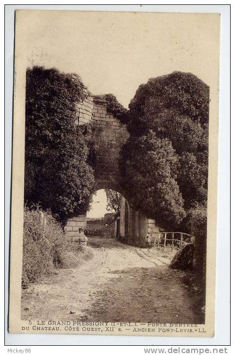 LE GRAND-PRESSIGNY---Porte D´entrée Du Chateau,coté Ouest--Ancien Pont-Levis N°5 éd  LL - Le Grand-Pressigny