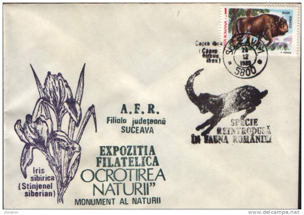 Romania-Occasional Envelope Nature Protection 1989-Bison Bonasus(Wisent) - Wild