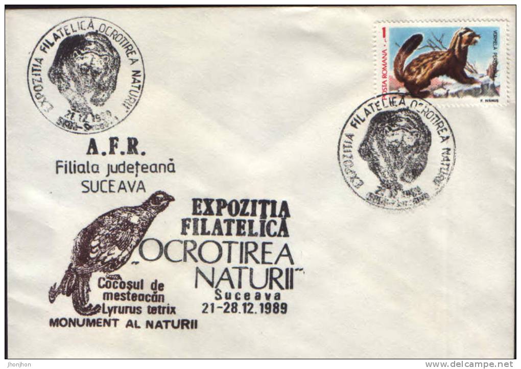 Romania-Occasional Envelope Nature Protection 1989-Vormela Peregusna(Marbled Polecat) - Wild