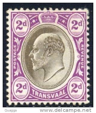 Transvaal 1904-1909. 2d Black And Purple (wmk.MCA). SACC 268*. - Transvaal (1870-1909)