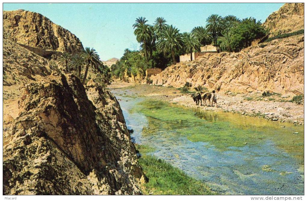 22029    Algeria,  Bou  Saada,  L"Oued,  VG  1972 - El-Oued