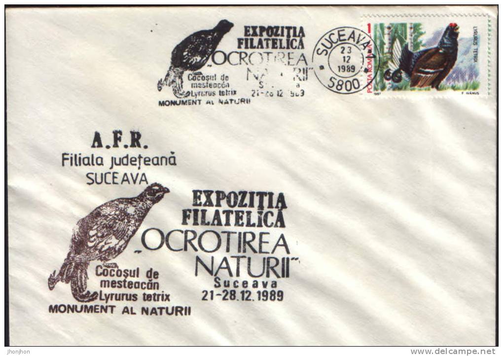 Romania-Occasional Envelope Nature Protection 1989-Lyrurus Tetrix(Rooster Birch; Bouleau Coq) - Gallinacées & Faisans