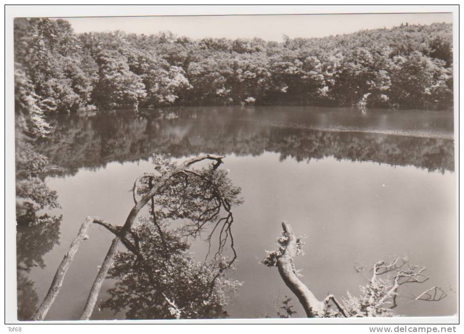 Insel Rügen Stubbenkammer Am Herthasee - Rügen