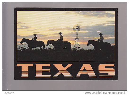 Cowboys, Texas - Other & Unclassified