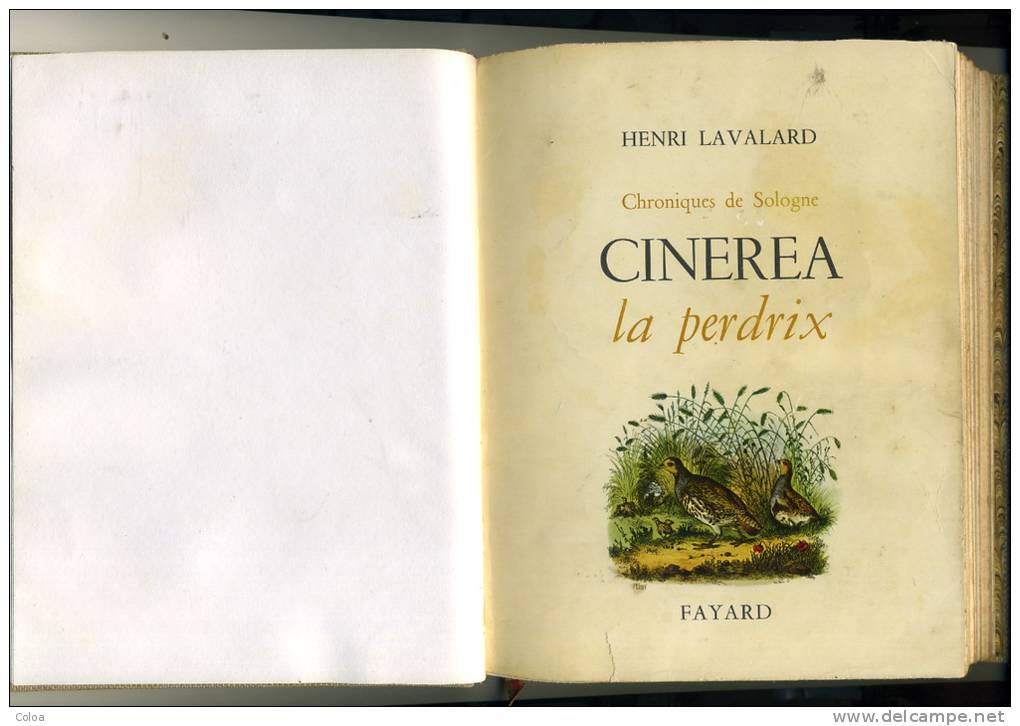 Henri LAVALARD Chronique De La Sologne Cinerea La Perdrix 1963 - Centre - Val De Loire