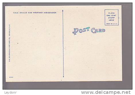 Road View - Pub. By Ashville Post Card Co., Ashville, N.C. - American Roadside