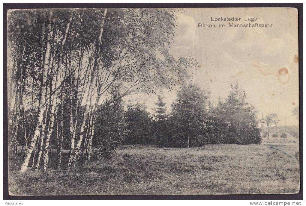 Germany Deutsches Reich PPC Holstein Lochstedter Lager Birken Mit Mannschaftspark LOCHSTEDTER LAGER 1913 (2 Scans) - Hohenlockstedt