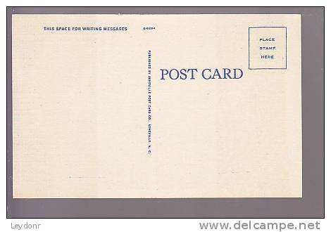 The Old North State By Lenora Monteire Martin  - Pub. By Ashville Post Card Co., Ashville, N.C. - American Roadside