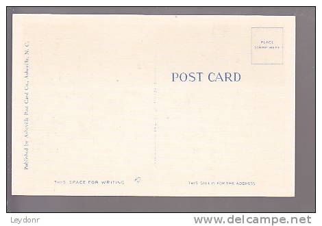 Busy Person's Correspondence Card  - Pub. By Ashville Post Card Co., Ashville, N.C. - Rutas Americanas