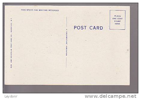 Lake View At Night  - Pub. By Ashville Post Card Co., Ashville, N.C. - American Roadside