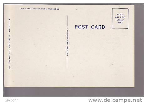 Lake View - Pub. By Ashville Post Card Co., Ashville, N.C. - American Roadside