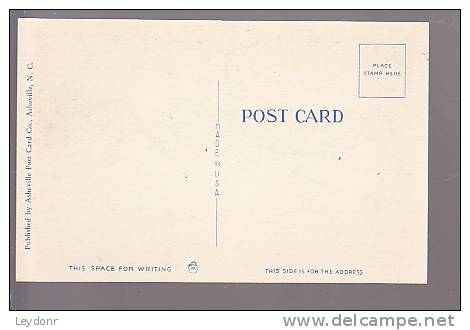 Beautiful Sand Dunes Along The Southern Coast  - Pub. By Ashville Post Card Co., Ashville, N.C. - Autres & Non Classés