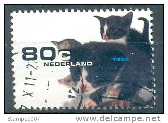 1998 Fauna Cat Chat Kat Poes - Used Stamps