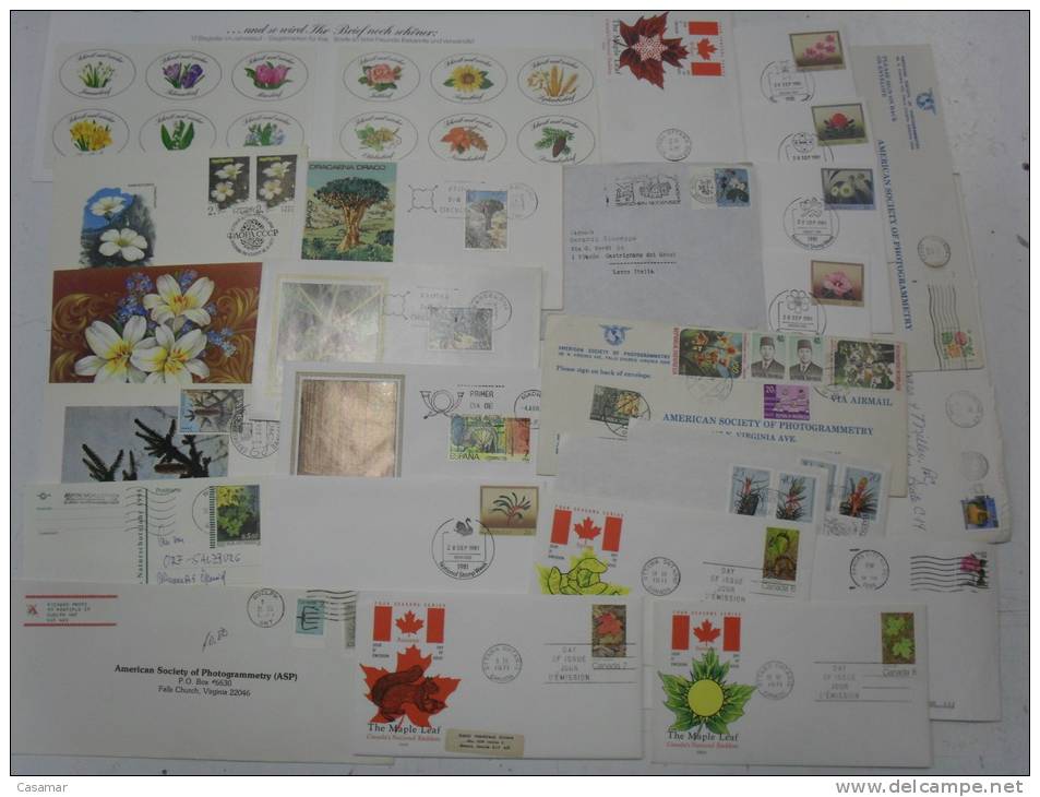 FLORA 100 Postal History Different Items SPECIAL OFFER : NO POSTAGE MAIL FREE COSTS !!!!!!!!!!!! Collection Lot - Collections (with Albums)