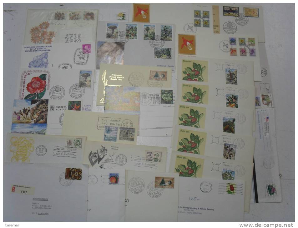 FLORA 100 Postal History Different Items SPECIAL OFFER : NO POSTAGE MAIL FREE COSTS !!!!!!!!!!!! Collection Lot - Collections (en Albums)