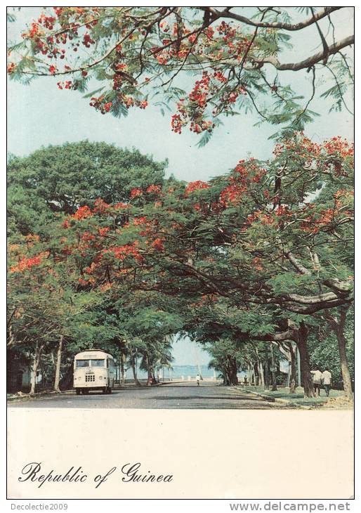 ZS7259 Conakry Avenue Bored With West Indies Trees Guinee Used Good  Shape - Guinea