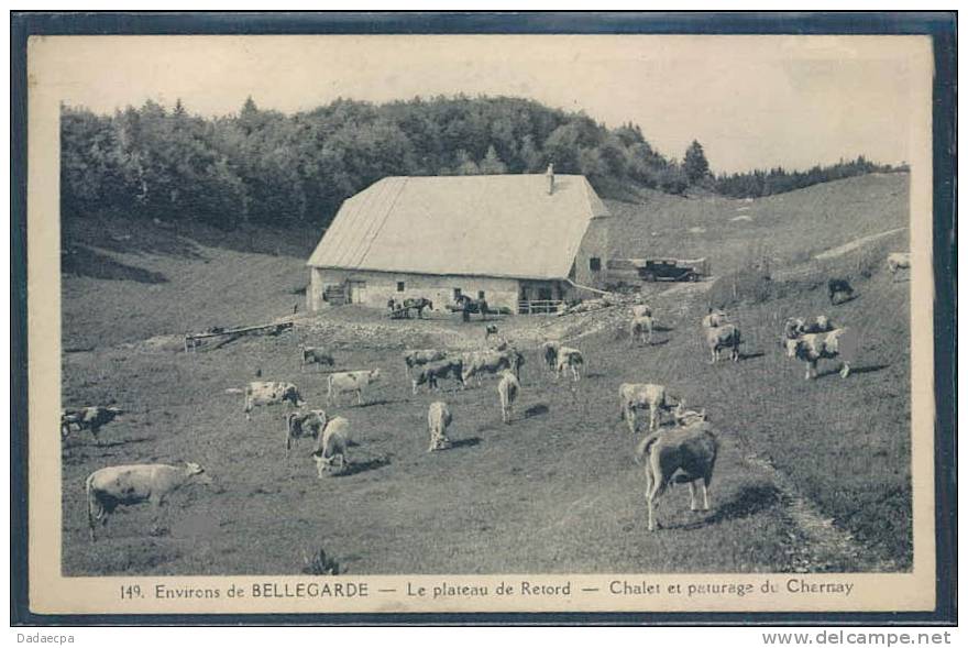 Troupeau De Vaches, Alpage, Environs De Bellegrade, - Paysans