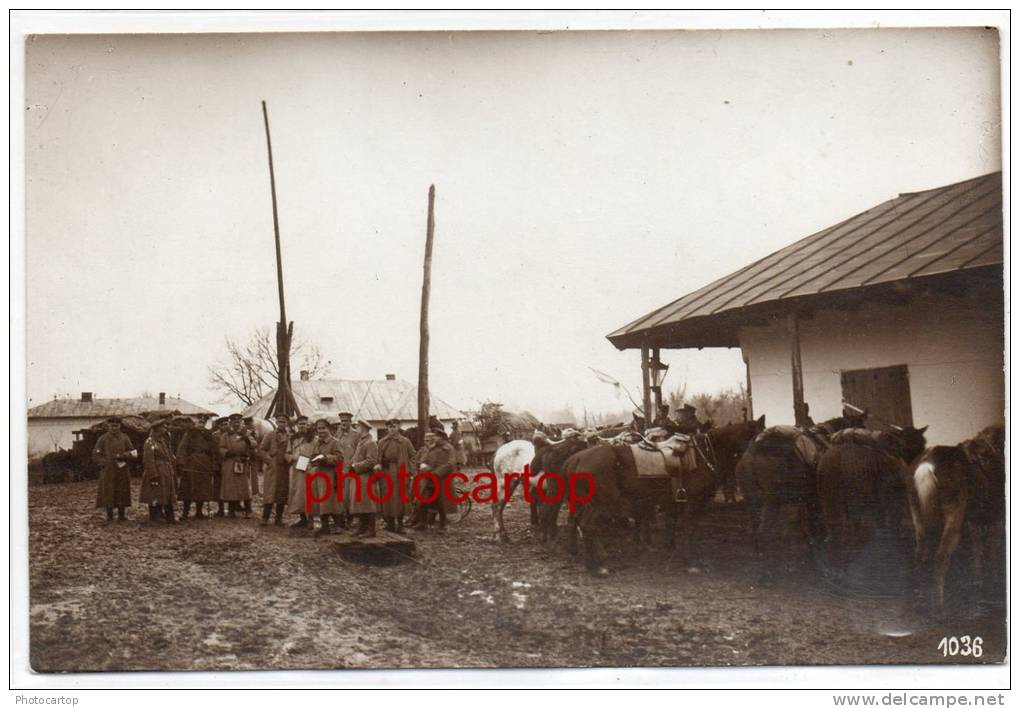 DOBRA-RUMÄNIEN-Photo-1Weltkrieg-Militaria-1WK.-Soldat-Pferd- - Roumanie