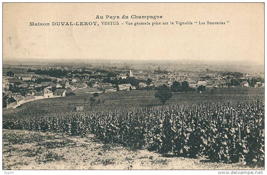 Maison Duval-Leroy, Vertus, Vignoble "Les Bouveries" CPA 1936 - Vertus