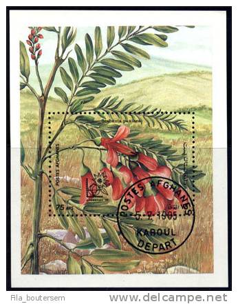 Afghanistan : 05-07-1985 (OBL) : Mich : BL 78  Cote : 1,00 Euro  Yv : BF 67 - Afganistán