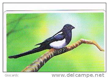 COREA DEL SUD (SOUTH KOREA)  - KOREA TELECOM (AUTELCA)  - 1991 BIRDS: MAGPIE  - USED  -  RIF. 1828 - Songbirds & Tree Dwellers