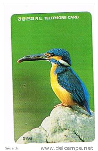 COREA DEL SUD (SOUTH KOREA)  - KOREA TELECOM (AUTELCA)  - 1994 BIRDS: KINGFISHER - USED  -  RIF. 1835 - Songbirds & Tree Dwellers