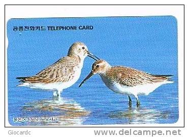COREA DEL SUD (SOUTH KOREA)  - KOREA TELECOM (AUTELCA)  - 1995 BIRDS: GREAT KNOT - USED  -  RIF. 1840 - Pájaros Cantores (Passeri)