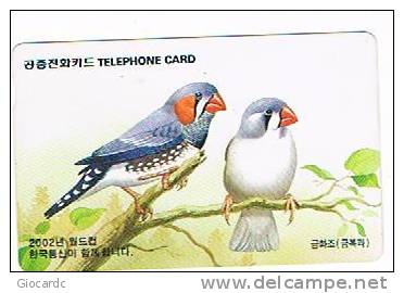 COREA DEL SUD (SOUTH KOREA)  - KOREA TELECOM (AUTELCA)  - 1996 BIRDS: ZEBRA FINCH - USED  -  RIF. 1850 - Pájaros Cantores (Passeri)