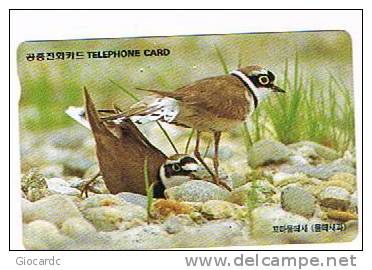 COREA DEL SUD (SOUTH KOREA)  - KOREA TELECOM (AUTELCA)  - 1997 BIRDS: LITTLE RINGED - USED  -  RIF. 1862 - Pájaros Cantores (Passeri)