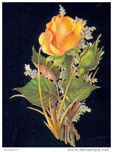 Découpi Gaufré Chromo Fleur Rose Flower Rose 6,5 X 10 - Flowers