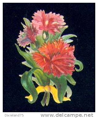 Découpi Gaufré Chromo Fleur Rose Flower 3 X 4,5 - Fiori