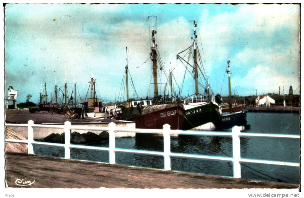 Gravelines. Le Bassin. Les Bateaux. Combier Imp à Macon. "CIM". Photographie Véritable. - Gravelines