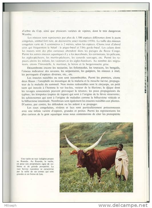 Livre Illustré ( Noir  / Couleur ) - CONGO Et RUANDA - URUNDI - Terre De Contrastes - 1957   (1439) - Geographie