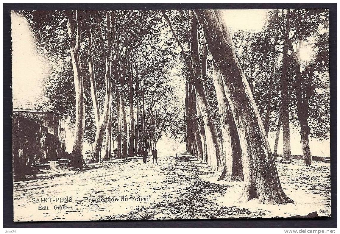 CPA  ANCIENNE- FRANCE- SAINT-PONS (34)- LA PROMENADE DU FOIRAIL EN AUTOMNE AVEC ANIMATION - Saint-Pons-de-Thomières