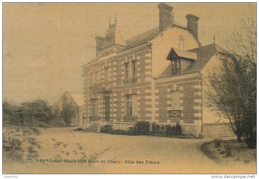 CPA (41)  NEUNG-SUR-BEUVRON  /  Villa Des Fleurs  -  édition Toilée  - - Neung Sur Beuvron