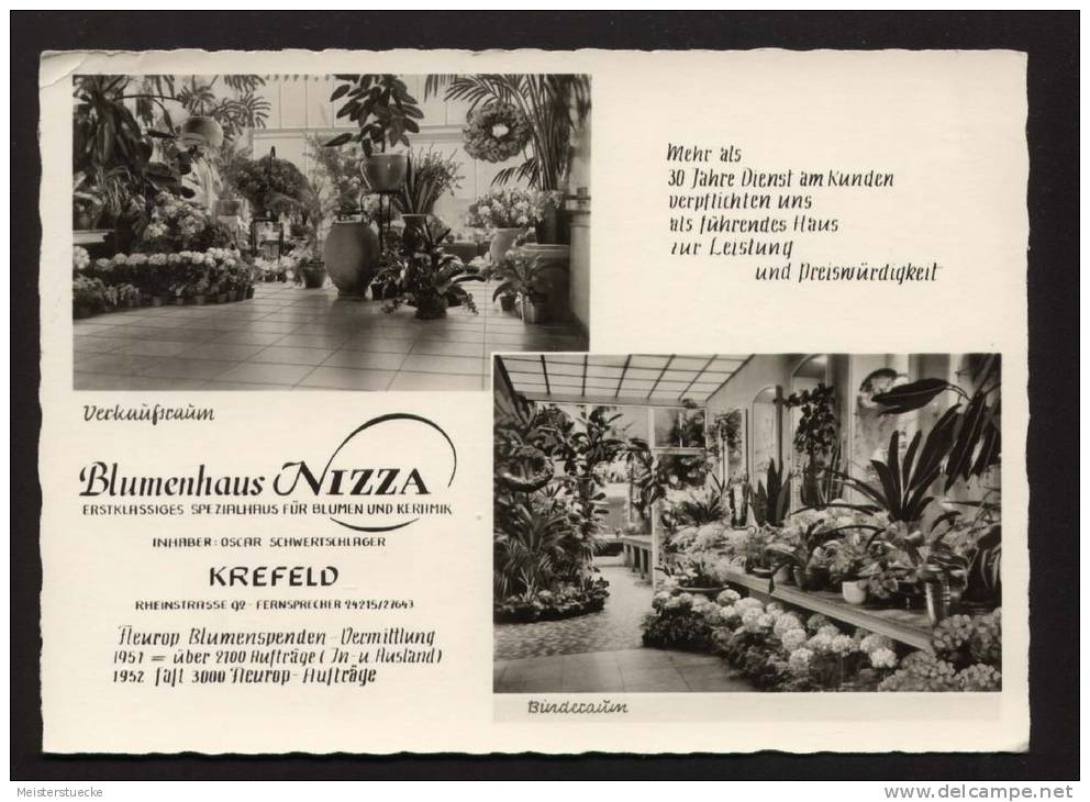 Foto-AK Krefeld, Blumenhaus Nizza Mit Verkaufsraum Und Binderaum, Gelaufen Am 21.12.1953 - Krefeld