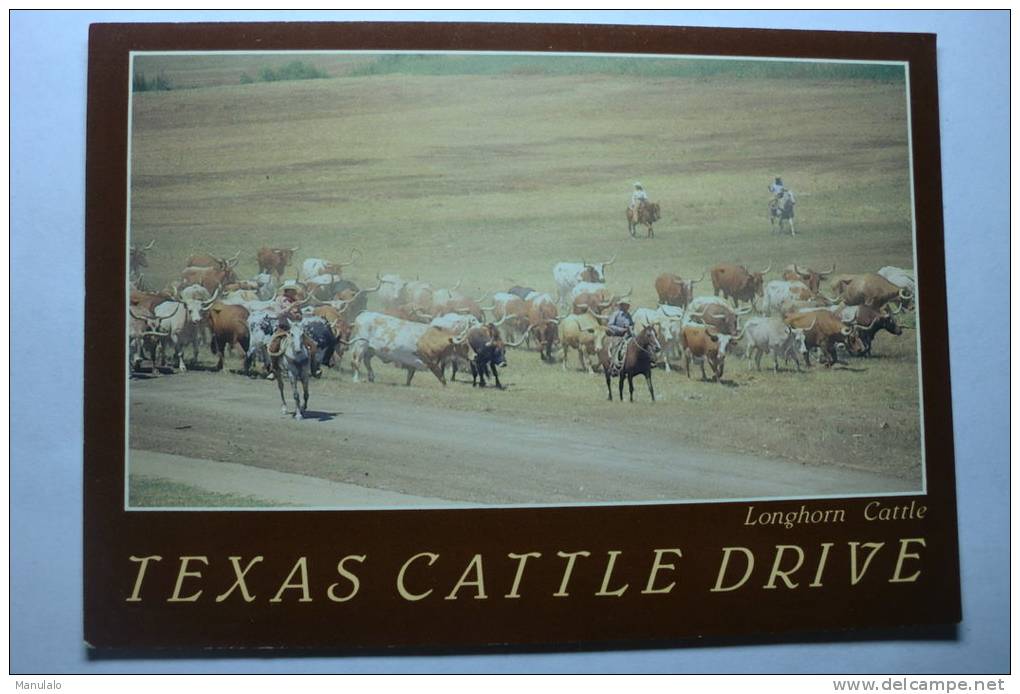 Texas Cattle Drive - Other & Unclassified