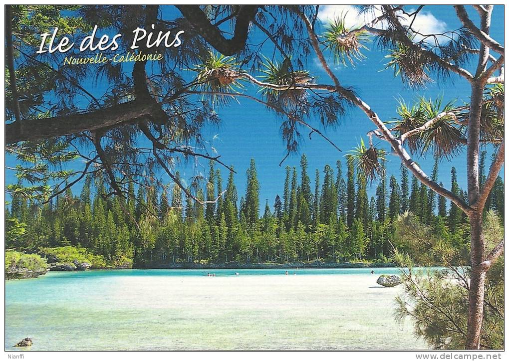 Nouvelle Calédonie - île Des Pins - La Piscine Naturelle à ORO. - Nieuw-Caledonië