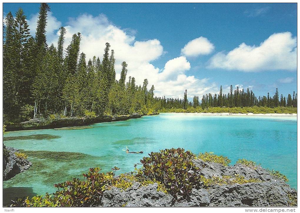 Nouvelle Calédonie - île Des Pins - La Piscine Naturelle à ORO. - Neukaledonien