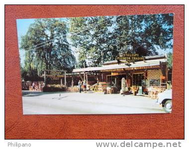 Pioneer Trading Post Gatlinburg TN  Early Chrome    == = ==   ===  =ref 339 - Otros & Sin Clasificación