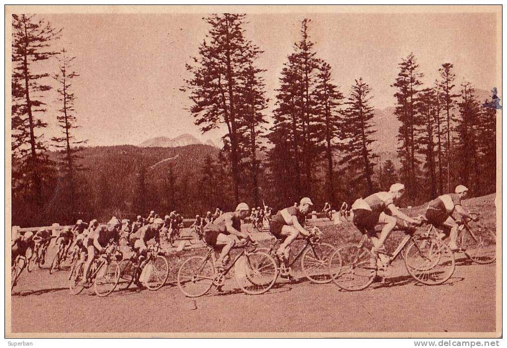 COURSE CYCLISTE En ROUMANIE : CURSA "SCÂNTEII" - ANNÉE: ENV. 1950 (j-434) - Cyclisme