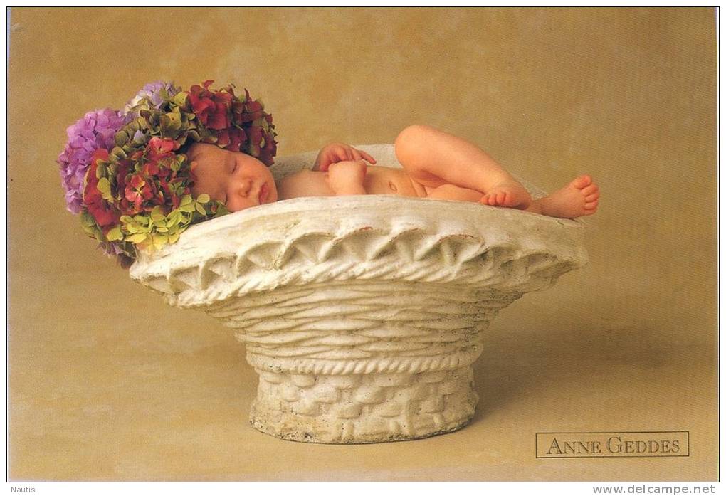 Original Anne Geddes Postcard, Postkarte, Carte Postale, New, Baby, Little Children, Flower Basket - Other & Unclassified