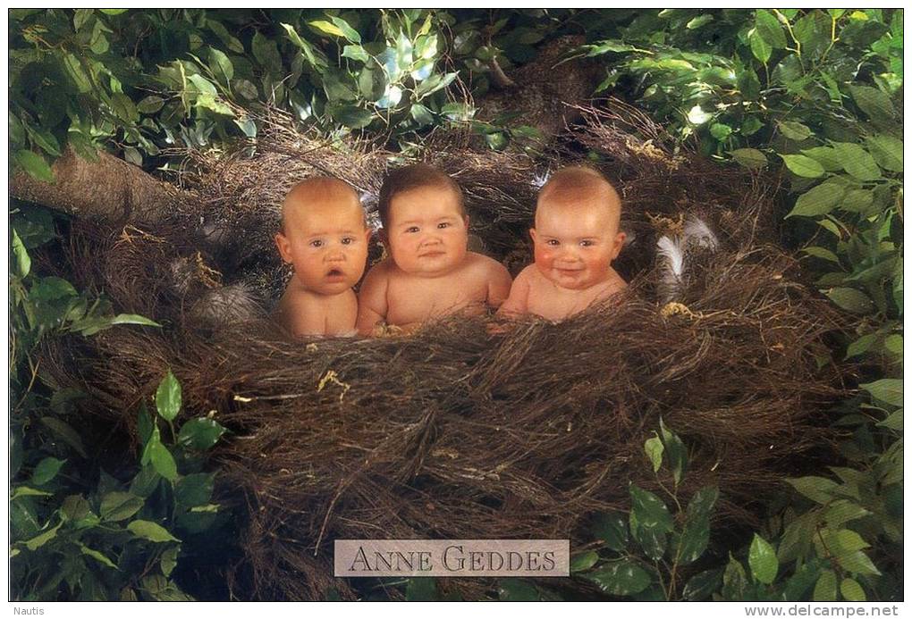 Original Anne Geddes Postcard, Postkarte, Carte Postale, New, Babies, Child, Tree, Nest, Greenery - Other & Unclassified