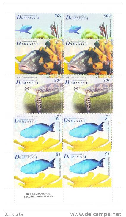 Dominica 2009 Coral Reef Fish Turtle Shark Blk Of 4 MNH - Dominique (1978-...)