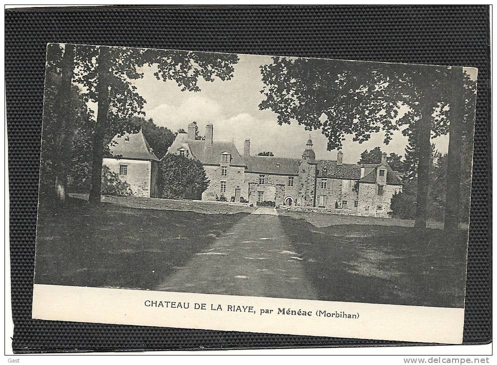 56   MENEAC     CHATEAU  DE  LA     RIAYE - Autres & Non Classés