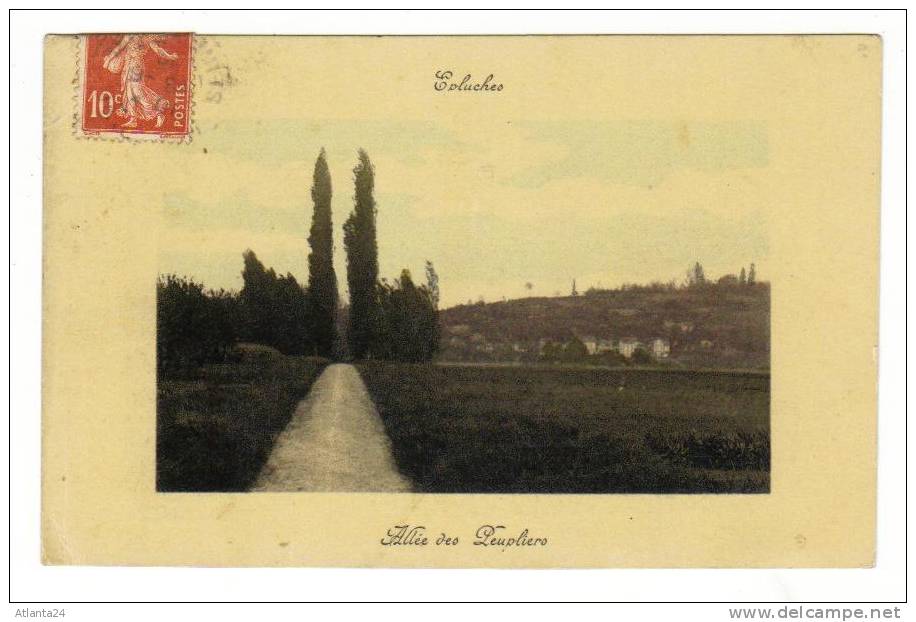 EPLUCHES - ALLEE DES PEUPLIERS     (D95) - Other & Unclassified