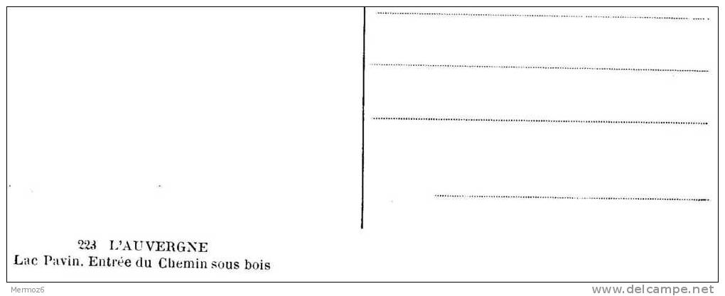 Lac Pavin Entree Du Chemin Sous Bois 223 Gouttefangeas Barques - Autres & Non Classés
