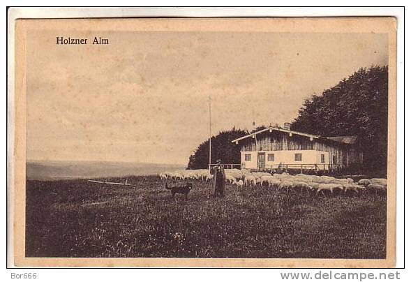 GOOD OLD GERMANY POSTCARD - Holzner Alm - Sheeps - Bad Wiessee