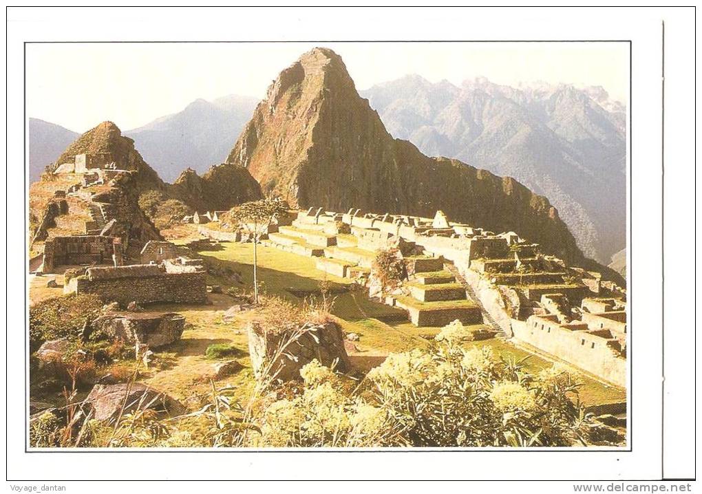 CP, Pérou, Macchu-Picchu, La Célèbre Cité Inca, Explications Au Verso, écrite - Pérou