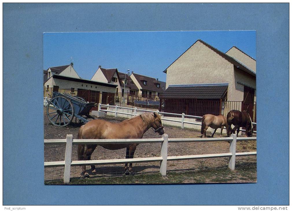 Antony - La Ferme Pour Enfants - Antony